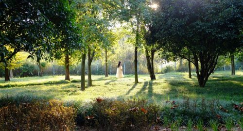 wedding-landscape_01